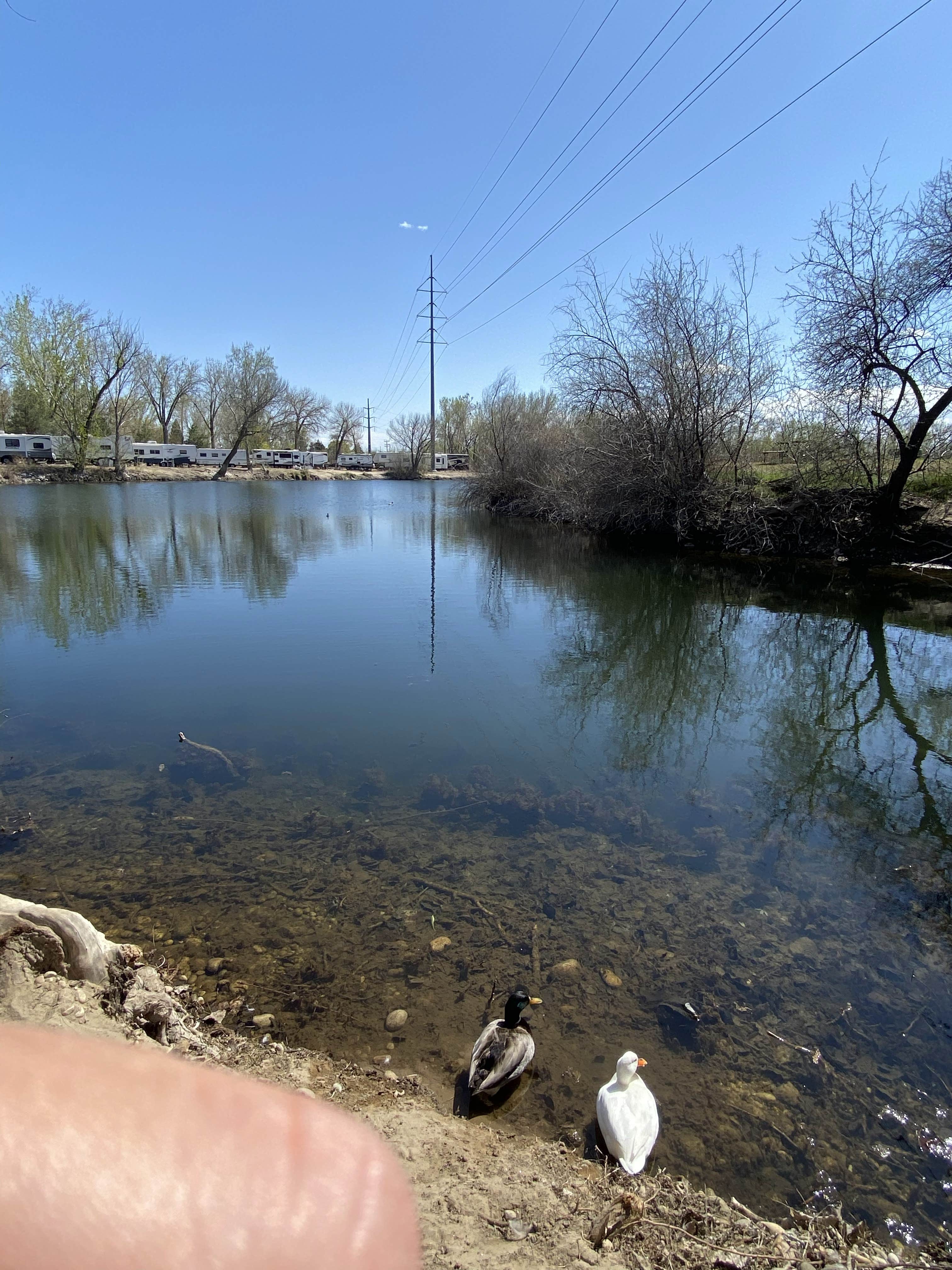 Camper-submitted photo at Caldwell Campground and RV Park near Star, ID