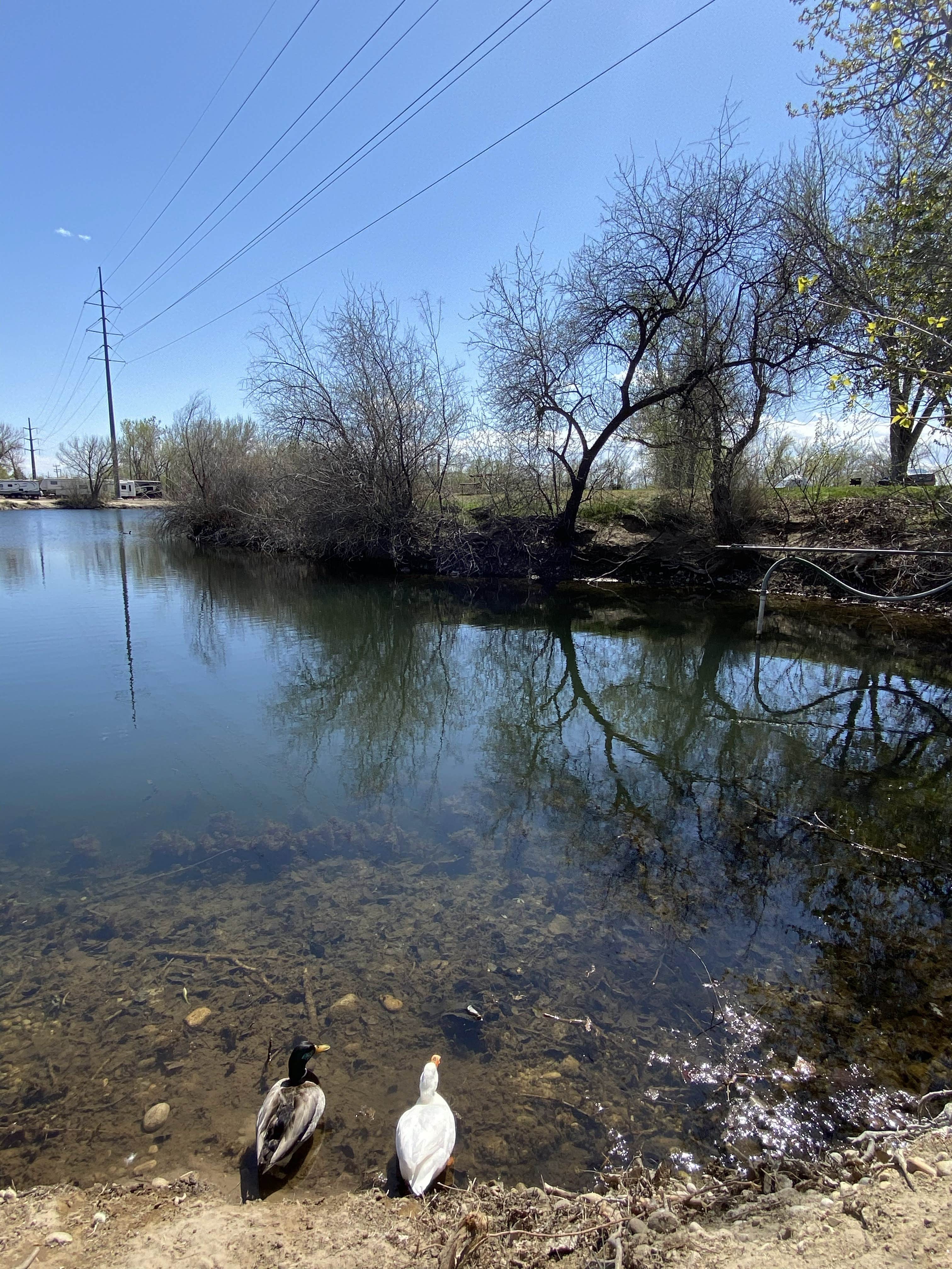 Camper submitted image from Caldwell Campground and RV Park - 2