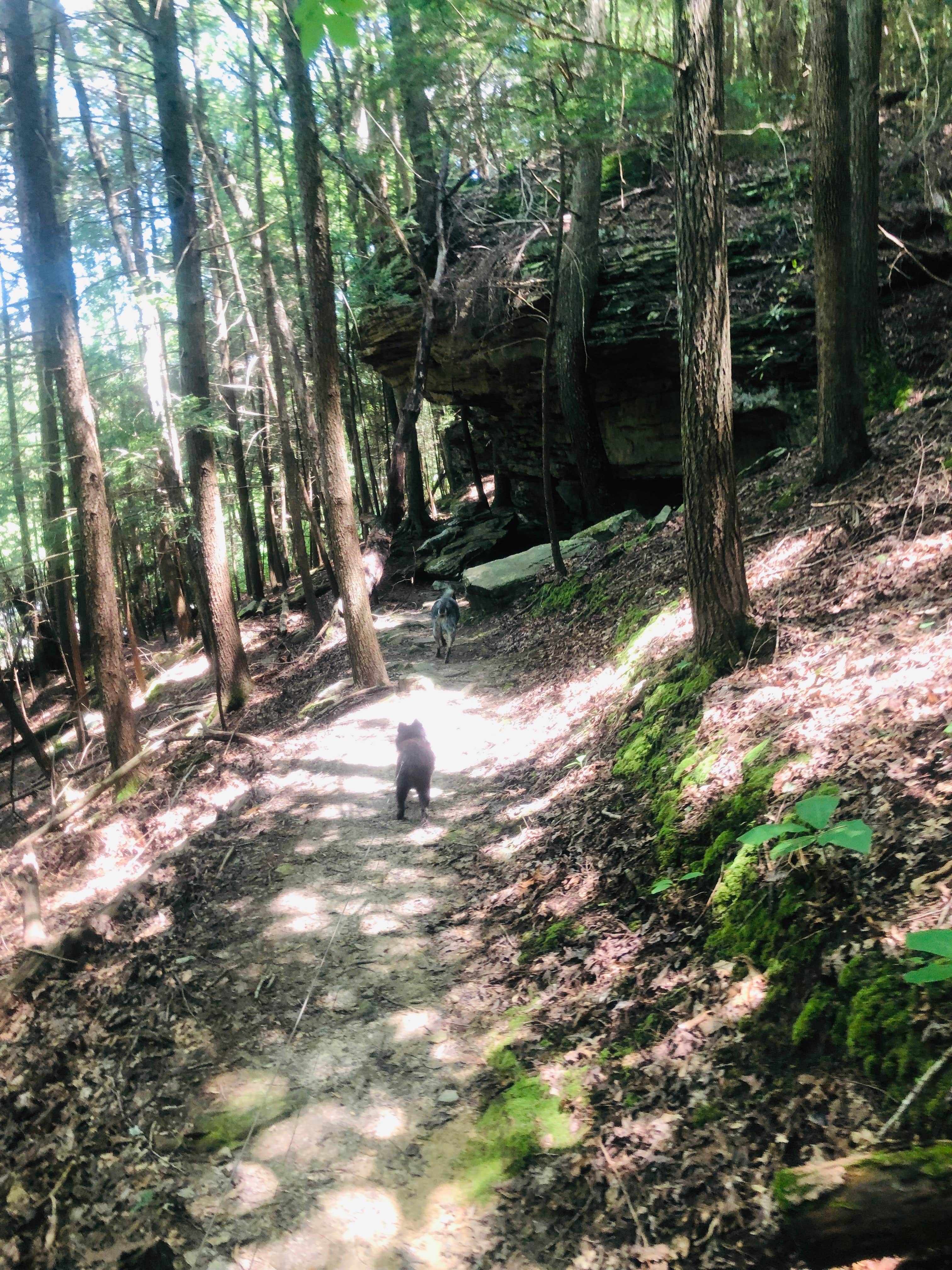 Camper-submitted photo at Corbin - Laurel Lake KOA near Stanford, KY