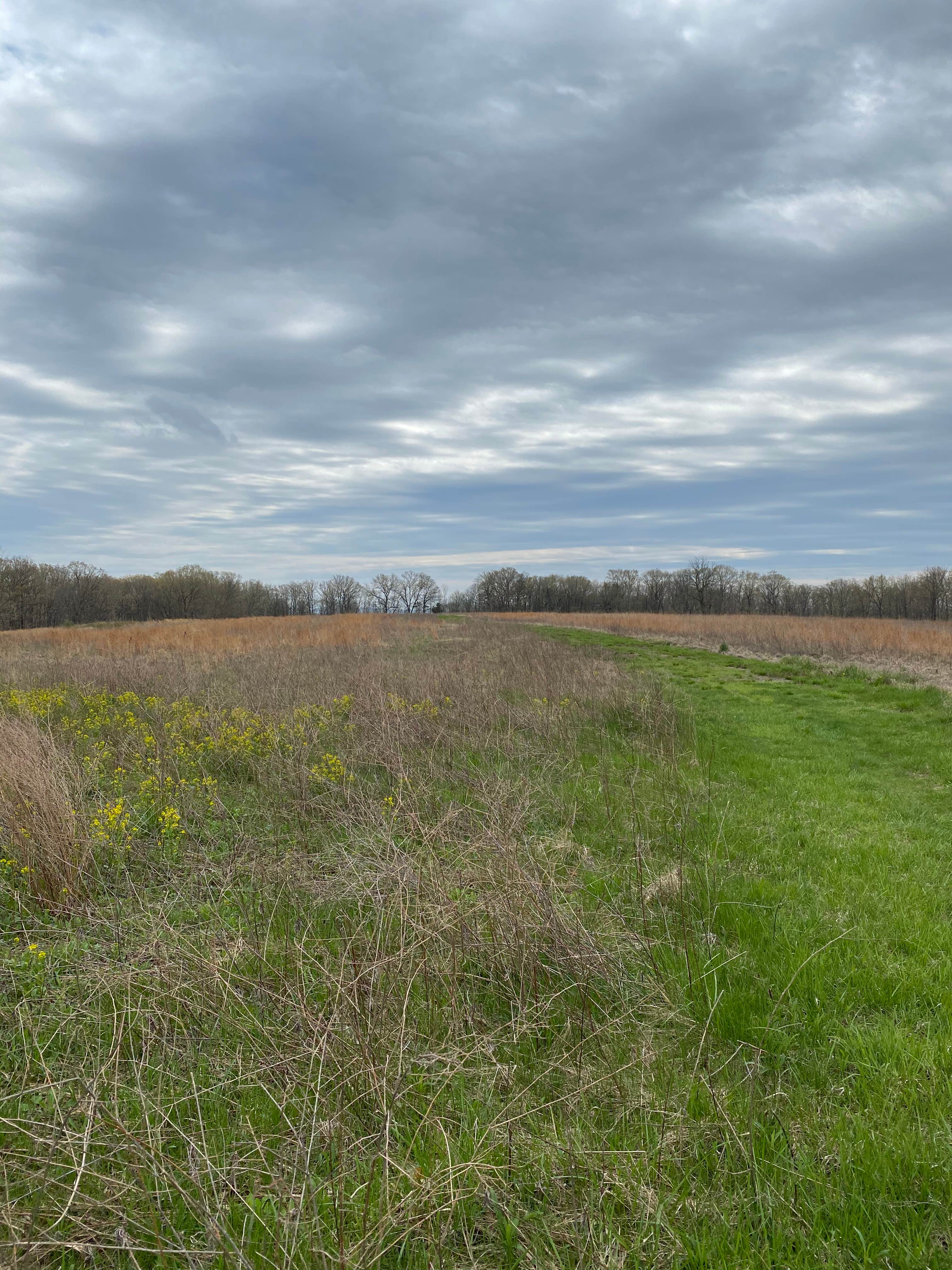 Camper-submitted photo at Danville Conservation Area near Rhineland, MO