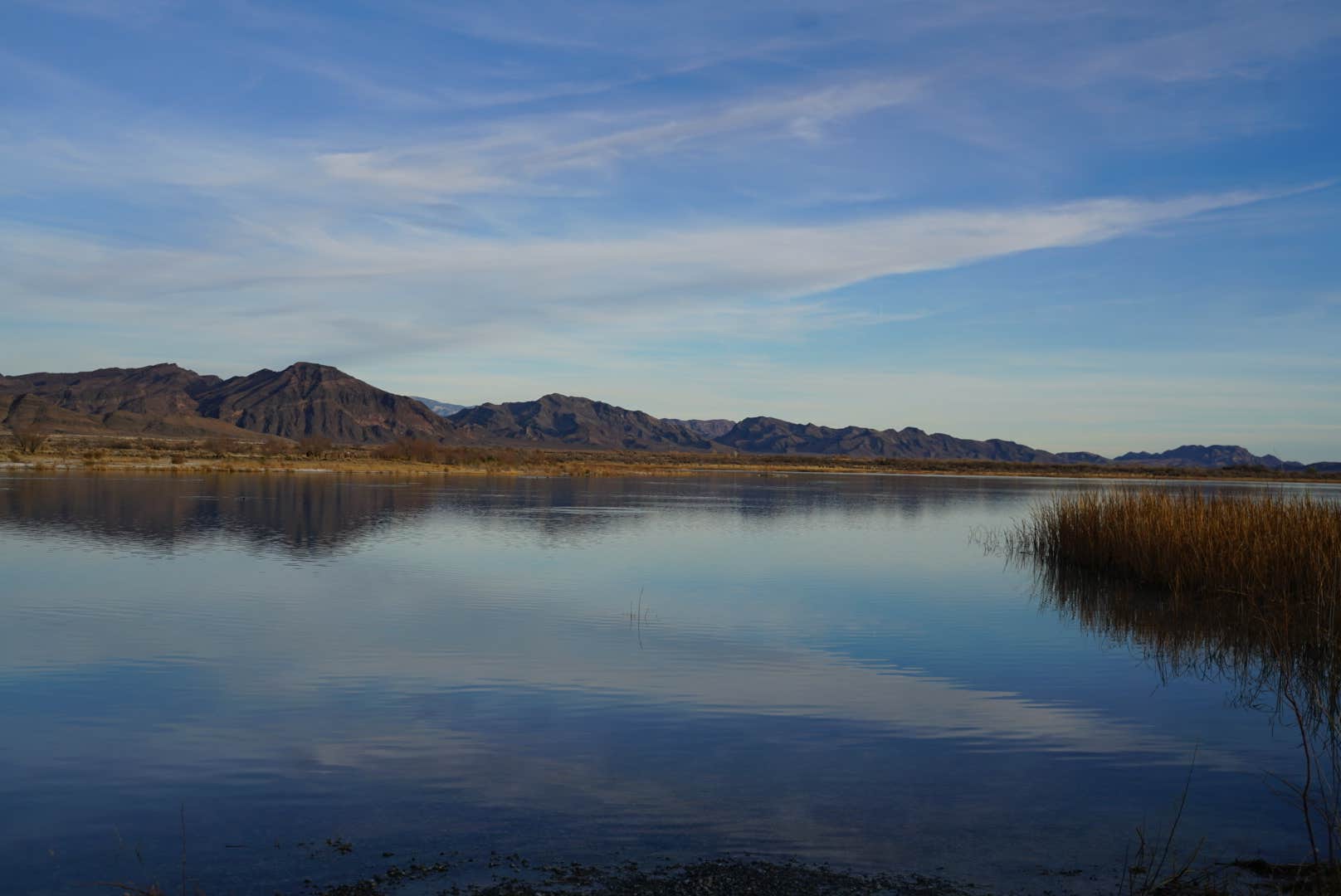 Camper-submitted photo at Ash Meadows Dispersed Camping near Shoshone, CA