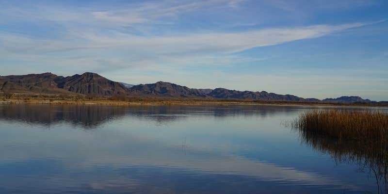 Camper submitted image from Ash Meadows Dispersed Camping