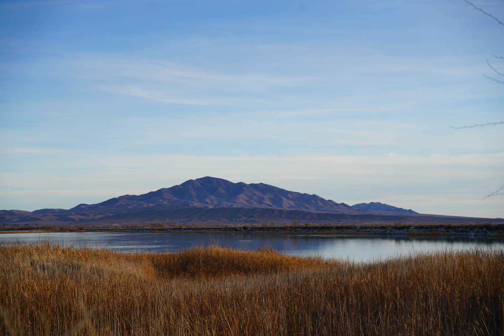 Camper-submitted photo at Ash Meadows Dispersed Camping near Amargosa Valley, NV