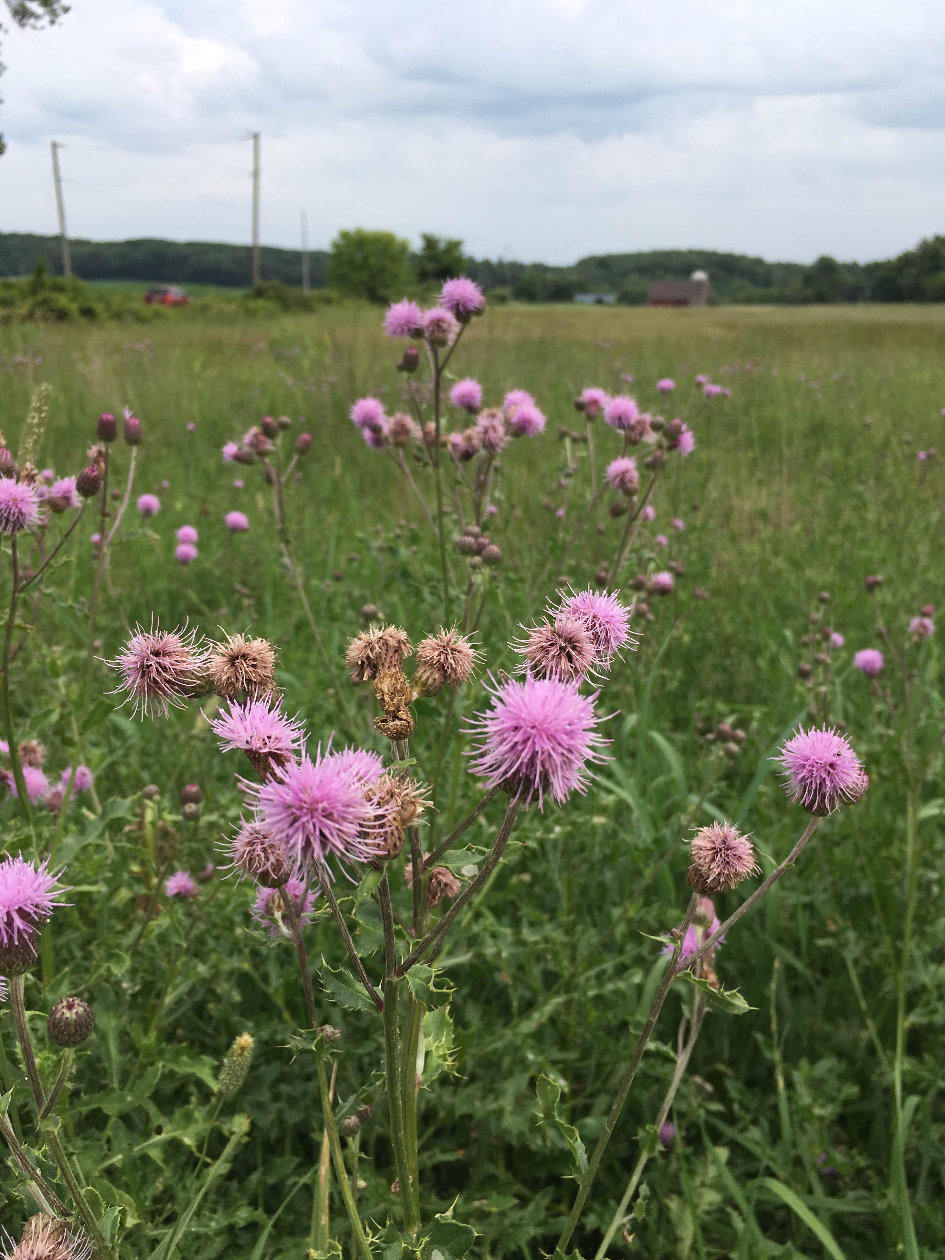Camper-submitted photo at Sky High Camping Resort near Portage, WI