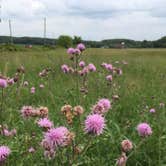 Review photo of Sky High Camping Resort by Annie C., May 1, 2020