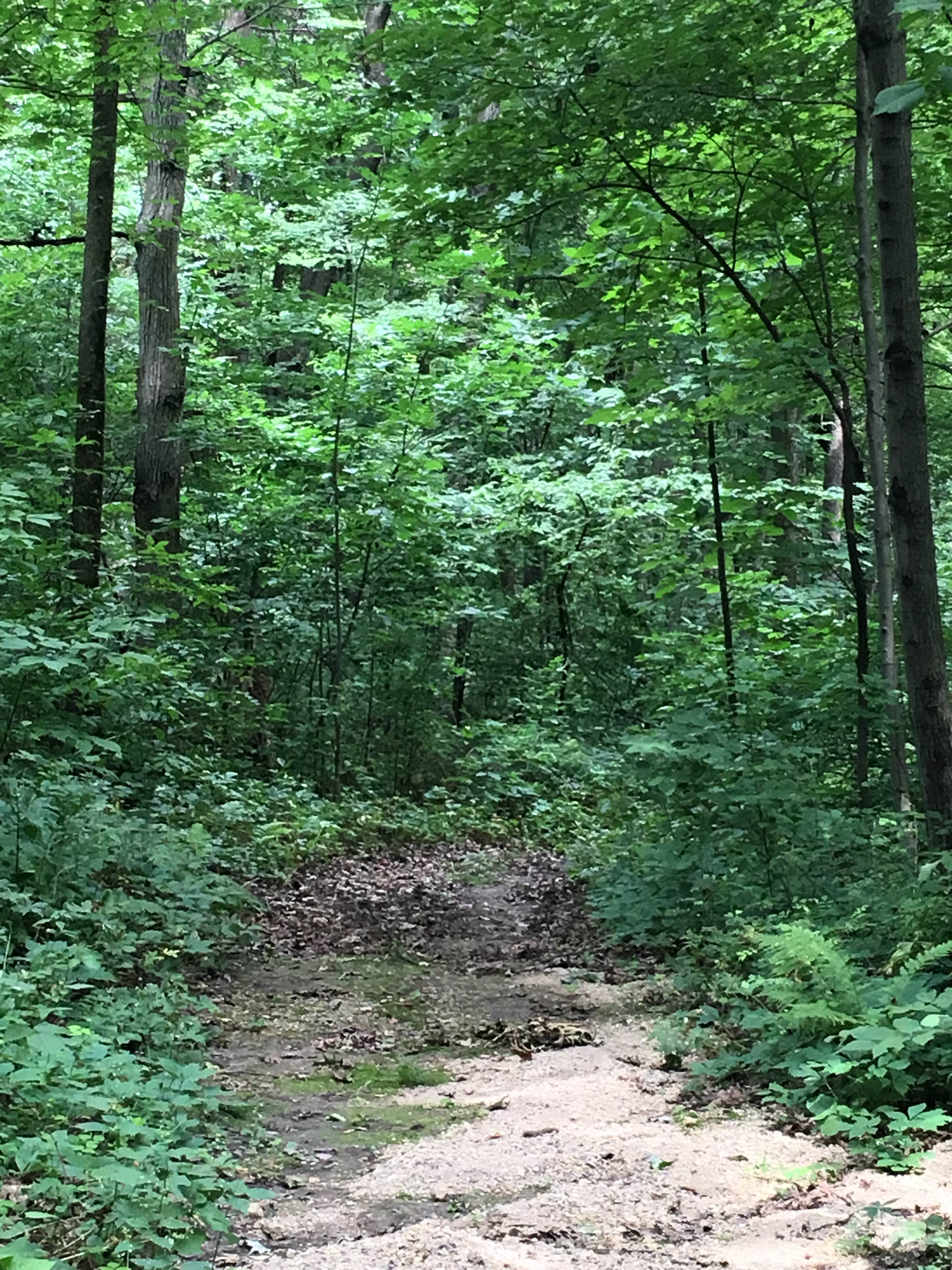 Camper-submitted photo at Sky High Camping Resort near Portage, WI