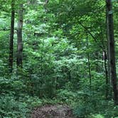 Review photo of Sky High Camping Resort by Annie C., May 1, 2020