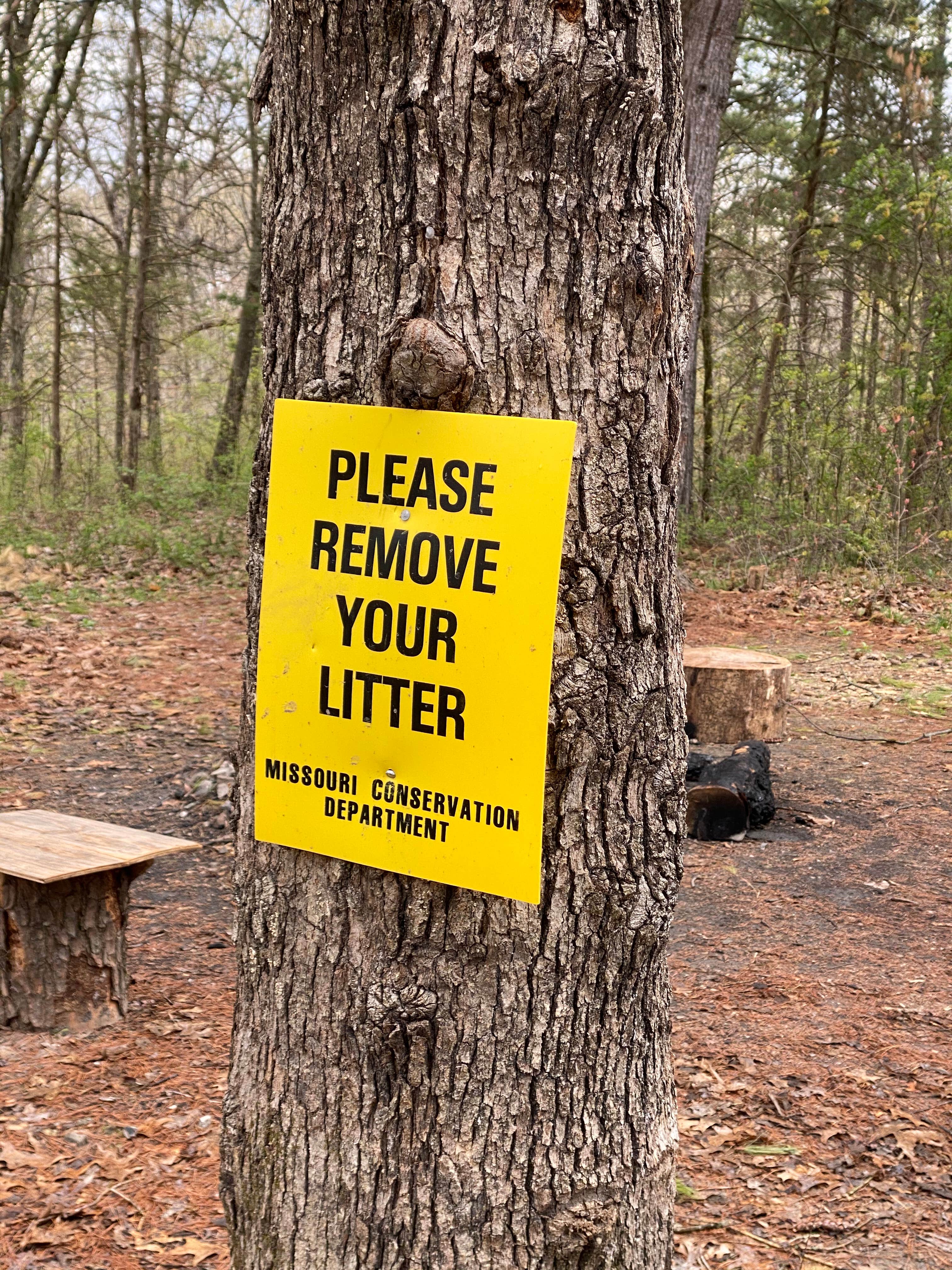 Camper submitted image from Daniel Boone Conservation Area - 5