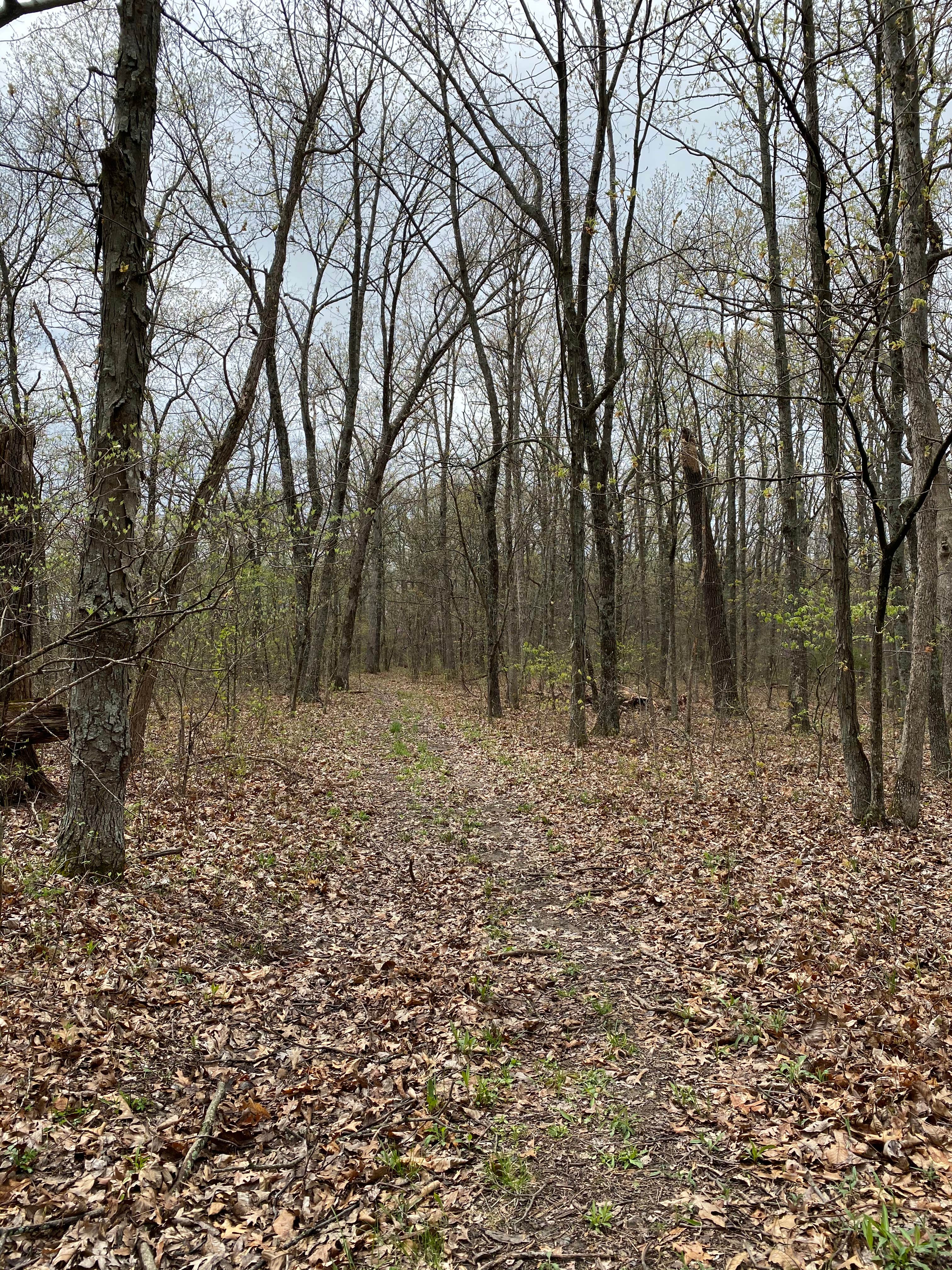 Camper-submitted photo at Daniel Boone Conservation Area near Marthasville, MO