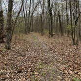 Review photo of Daniel Boone Conservation Area by Annie C., April 30, 2020