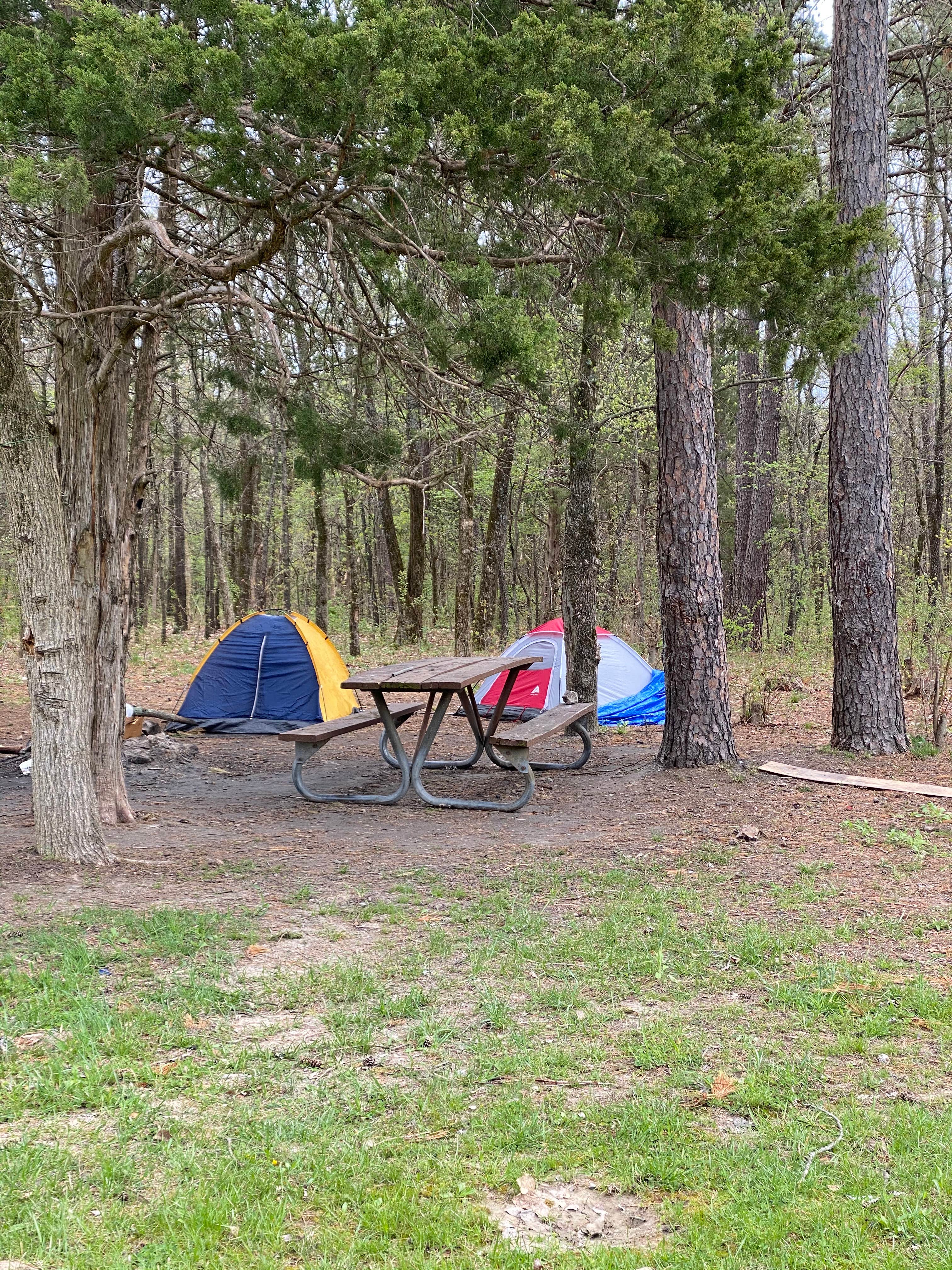 Camper submitted image from Daniel Boone Conservation Area - 2