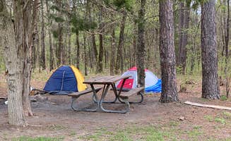 Annie C.'s photo at Daniel Boone Conservation Area near Marthasville, MO