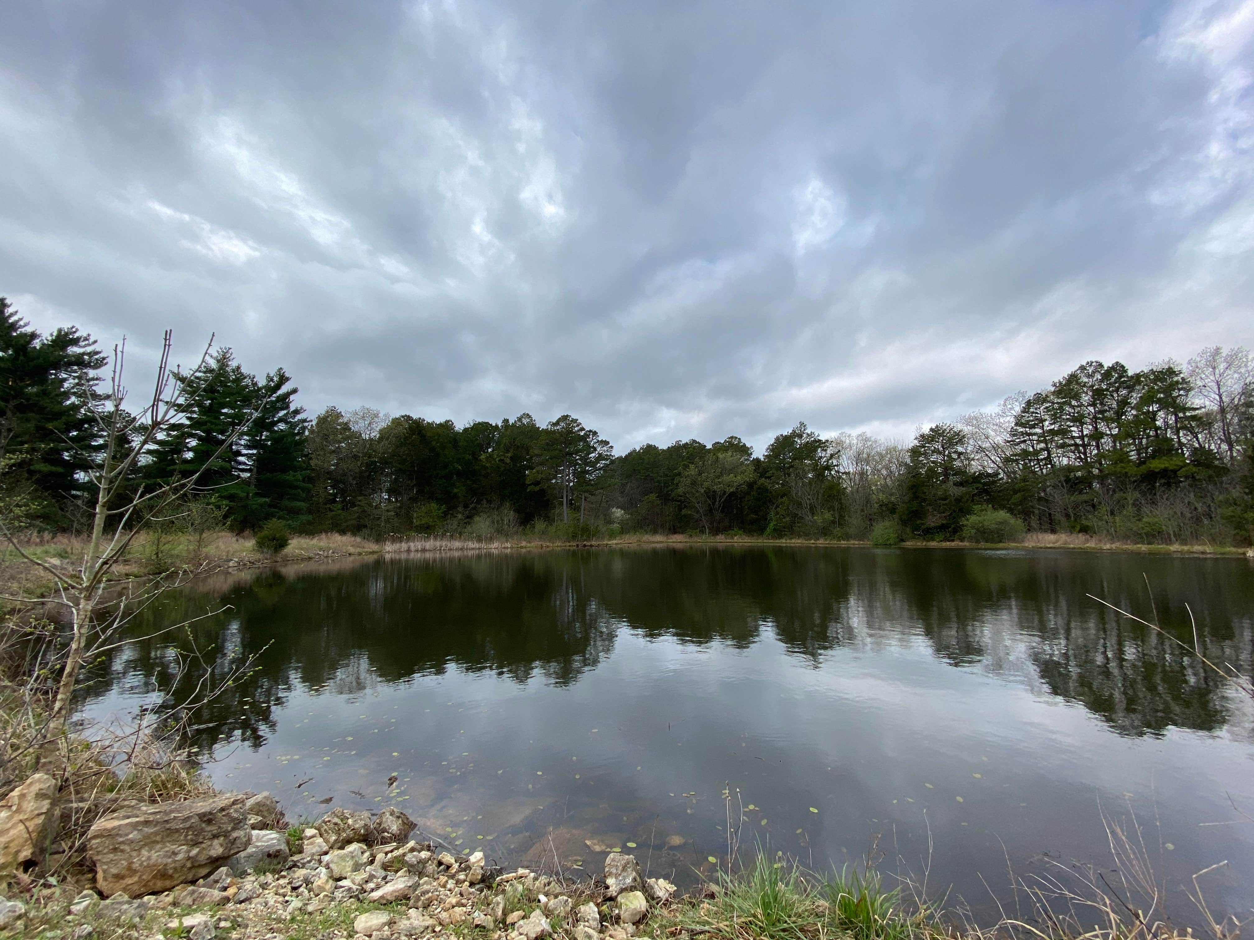 Camper-submitted photo at Daniel Boone Conservation Area near Marthasville, MO