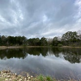 Review photo of Daniel Boone Conservation Area by Annie C., April 30, 2020