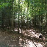 Review photo of Peshtigo Badger Park Campground by David K., May 1, 2020