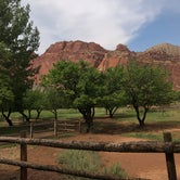 Review photo of Fruita Campground by Alicia F., April 27, 2020
