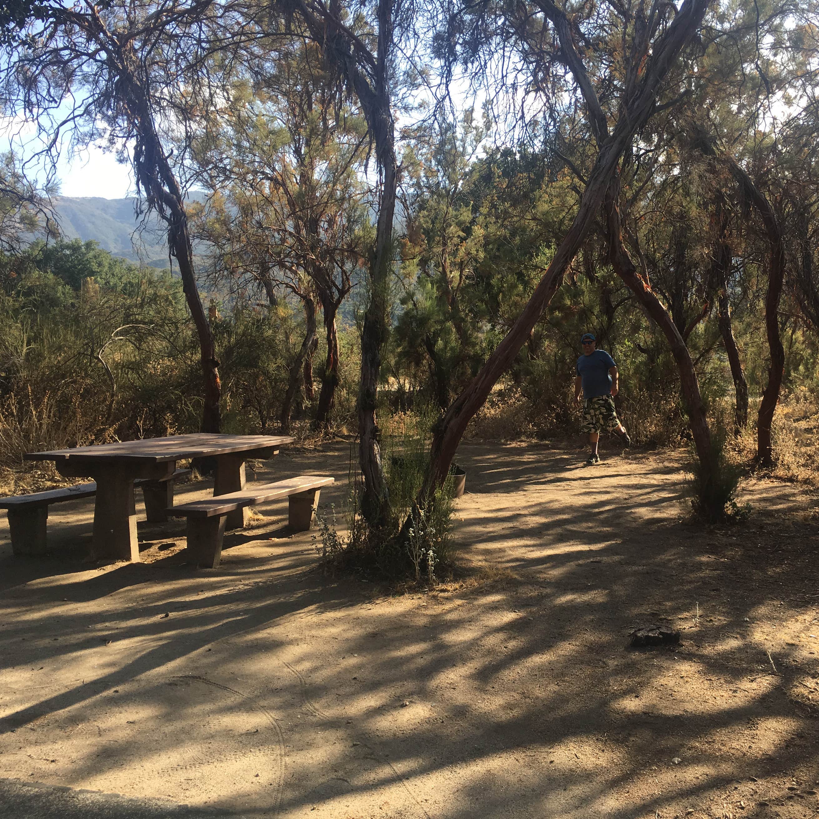 Oak Grove Campground Camping The Dyrt