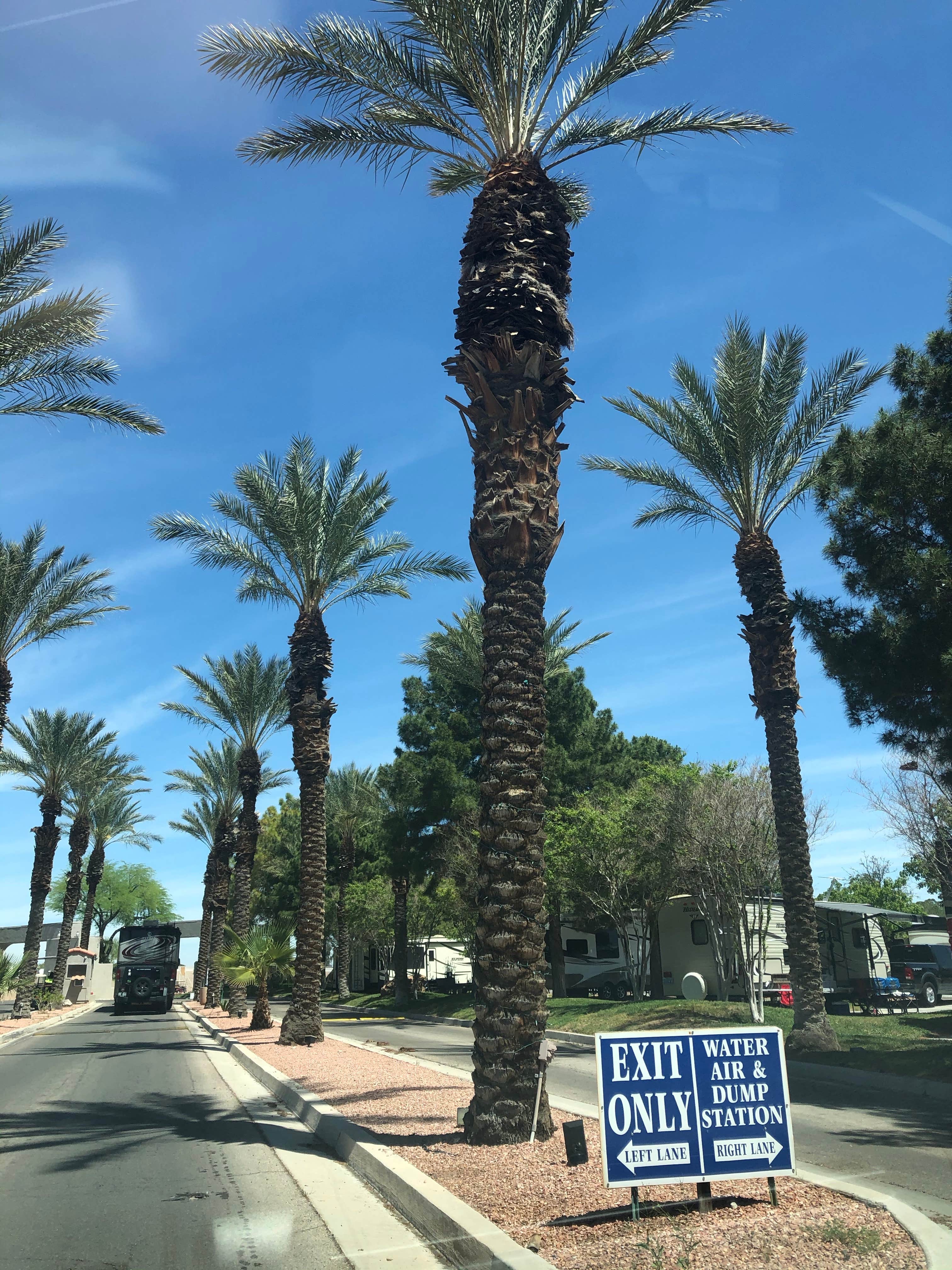 Camper-submitted photo at Oasis Las Vegas RV Resort in Nevada