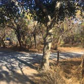 Review photo of Oak Grove Campground by Lindsey W., September 19, 2017