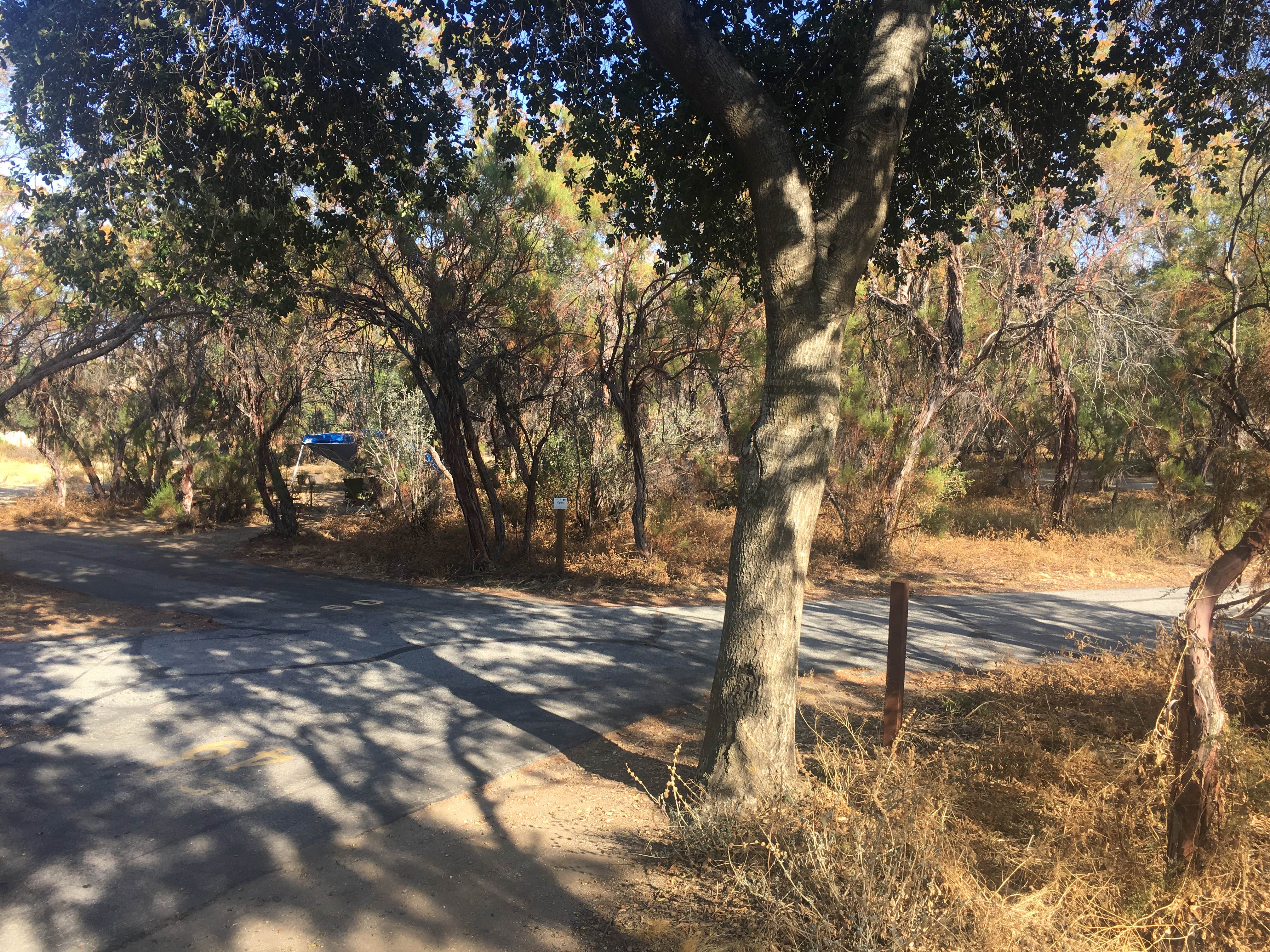 Camper submitted image from Oak Grove Campground - 2