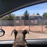 Review photo of Oasis Las Vegas RV Resort by Alicia F., May 1, 2020