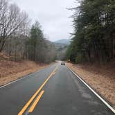 Review photo of Cheaha Falls Campground by Shelly S., May 1, 2020