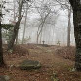 Review photo of Cheaha Falls Campground by Shelly S., May 1, 2020