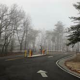 Review photo of Cheaha Falls Campground by Shelly S., May 1, 2020