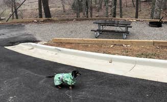Shelly S.'s photo of camping with pets at Cheaha Falls Campground near Jacksonville, AL