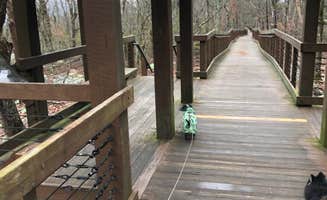 Shelly S.'s photo of camping with pets at Cheaha Falls Campground near Cropwell, AL