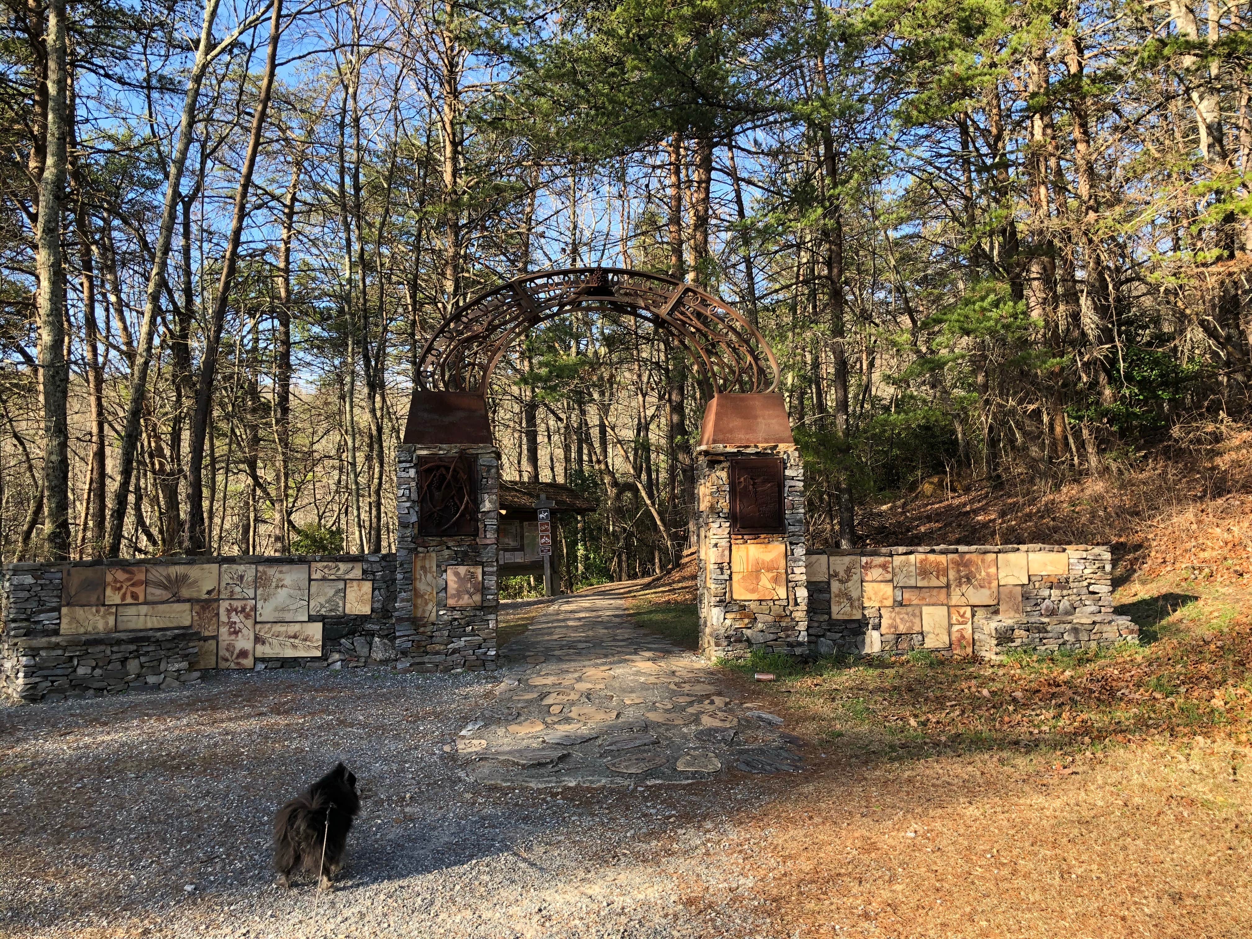 Shelly S.'s photo of camping with pets at Cheaha Falls Campground near Anniston, AL