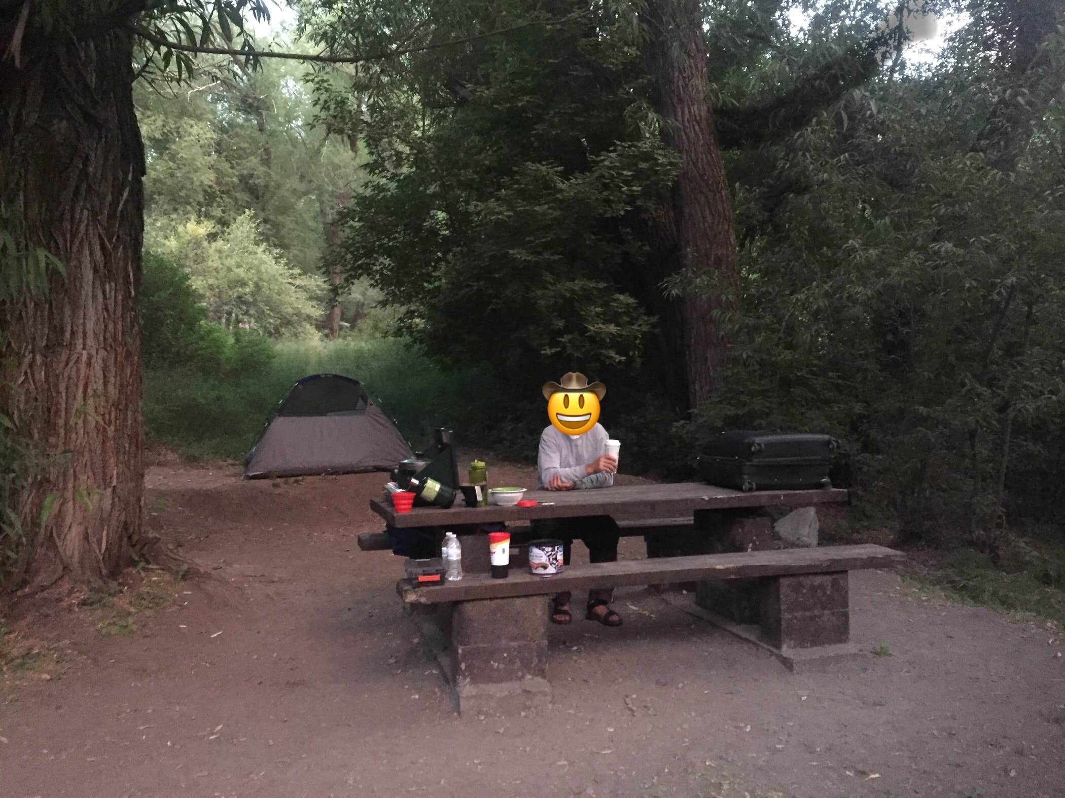 Camper submitted image from Weber County Campground - 5