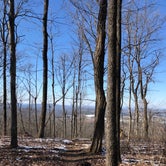 Review photo of Monte Sano State Park Campground by Shelly S., May 1, 2020