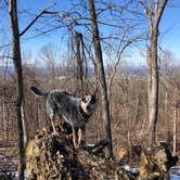 Review photo of Monte Sano State Park Campground by Shelly S., May 1, 2020