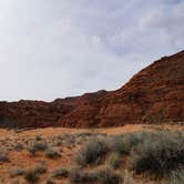 Review photo of Snow Canyon State Park Campground by Cat N., May 1, 2020