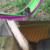 Review photo of Long Hunter State Park Campground by Shelly S., September 19, 2017