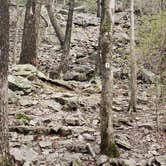 Review photo of Worthington State Forest Campground — Delaware Water Gap National Recreation Area by Erik M., May 1, 2020