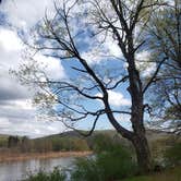 Review photo of Worthington State Forest Campground — Delaware Water Gap National Recreation Area by Erik M., May 1, 2020