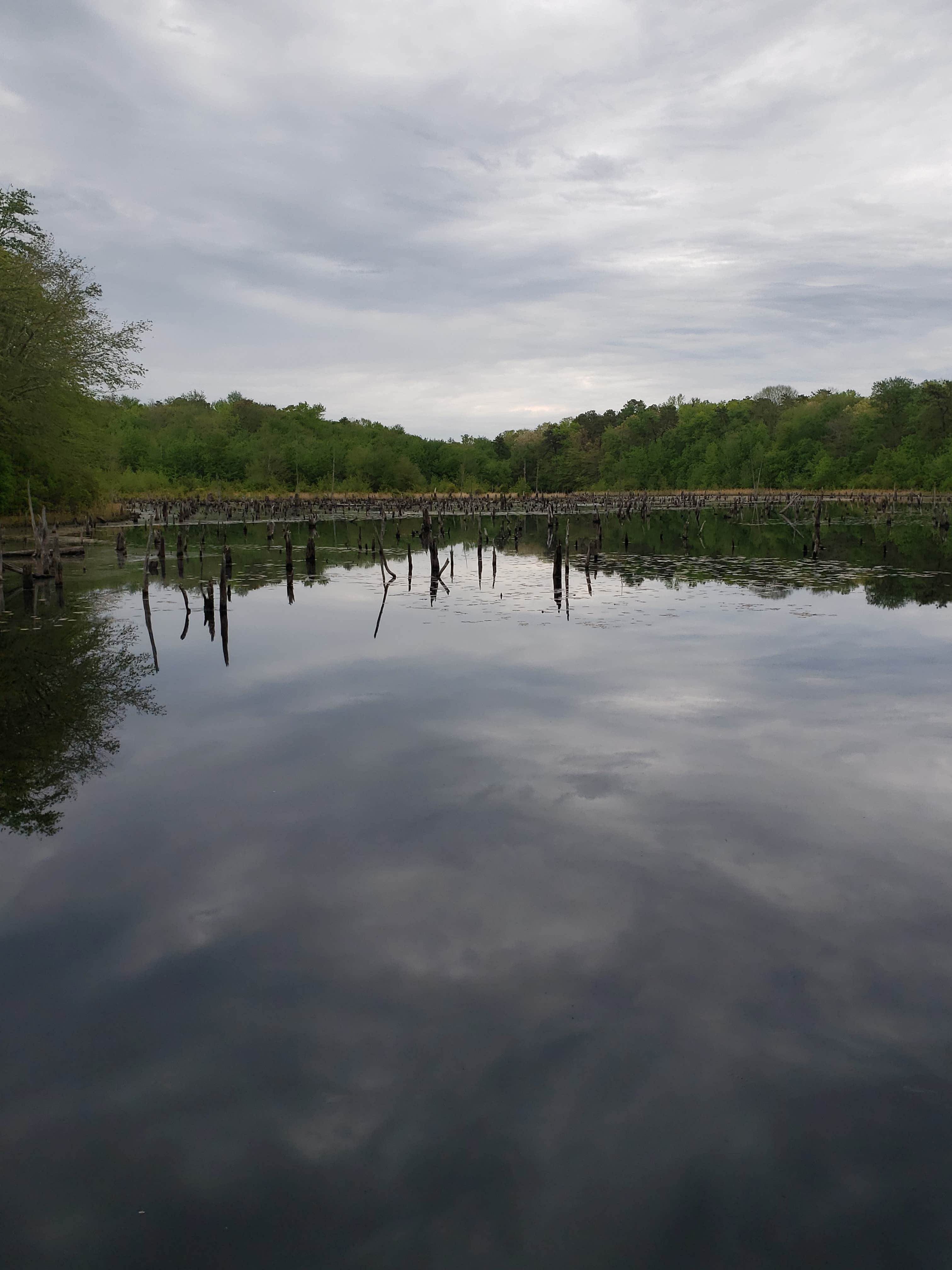 Camper-submitted photo at Allaire State Park - TEMPORARILY CLOSED near Wall, NJ