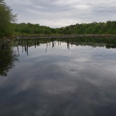 Review photo of Allaire State Park - TEMPORARILY CLOSED by Erik M., May 1, 2020