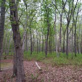 Review photo of Allaire State Park - TEMPORARILY CLOSED by Erik M., May 1, 2020