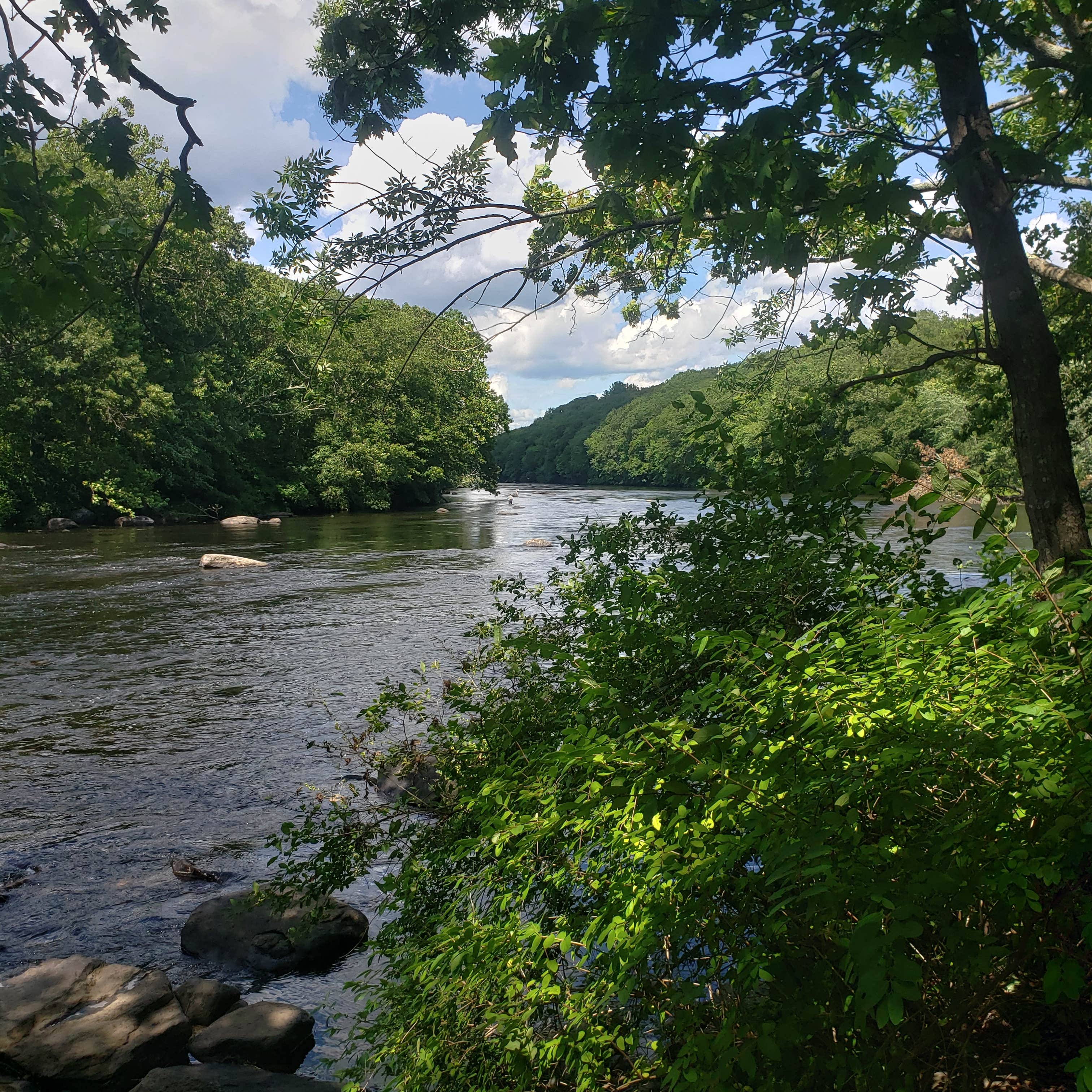 Escape To Tranquility: Uncovering Hidden Acres Campground, NJ