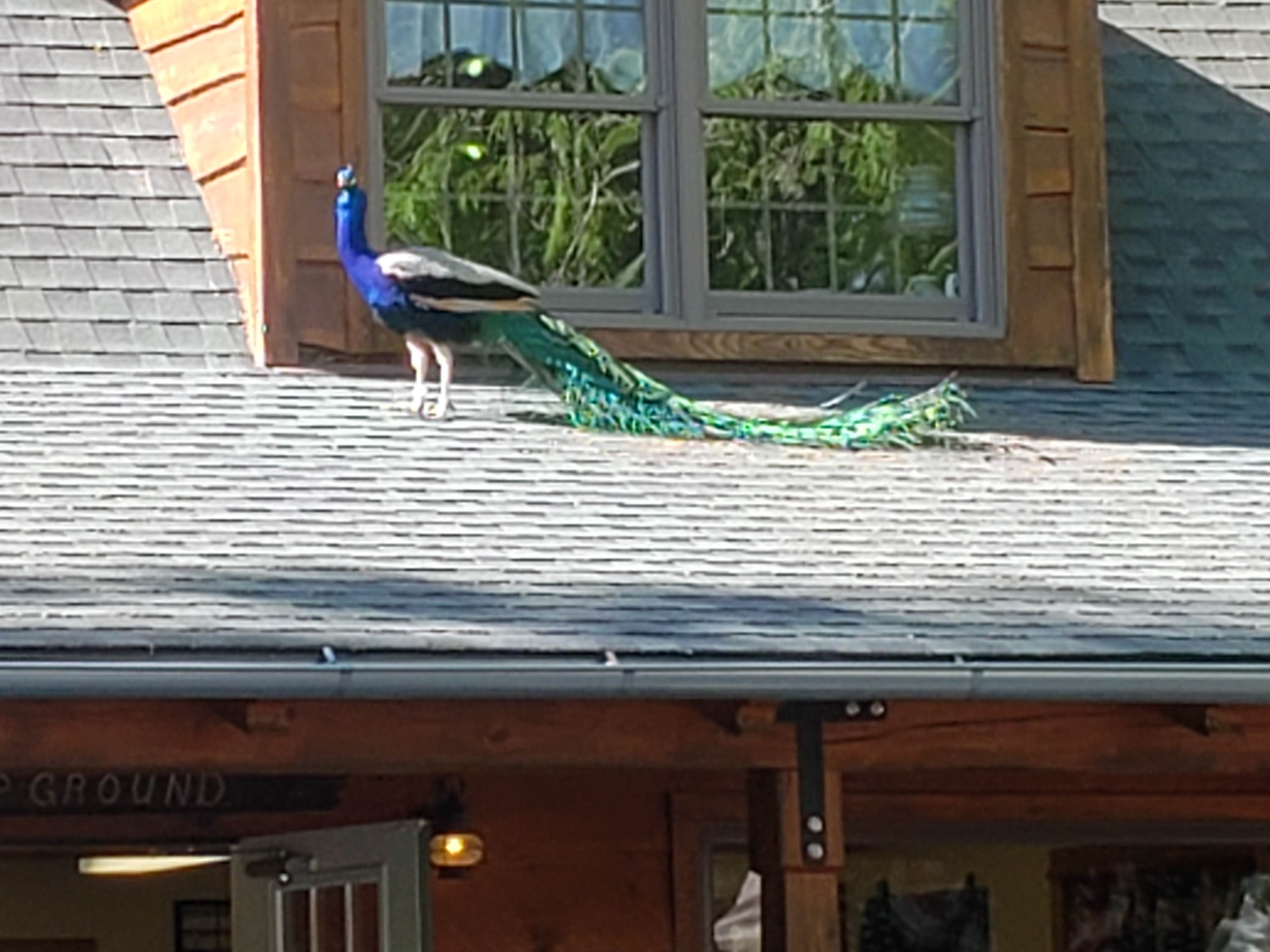 Camper-submitted photo at Hidden Acres Campground near Stonington, CT