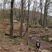 Review photo of Worthington State Forest Campground — Delaware Water Gap National Recreation Area by Erik M., May 1, 2020