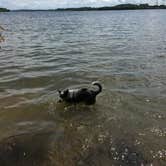 Review photo of Long Hunter State Park Campground by Shelly S., September 19, 2017