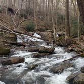 Review photo of Worthington State Forest Campground — Delaware Water Gap National Recreation Area by Erik M., May 1, 2020