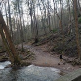 Review photo of Worthington State Forest Campground — Delaware Water Gap National Recreation Area by Erik M., May 1, 2020