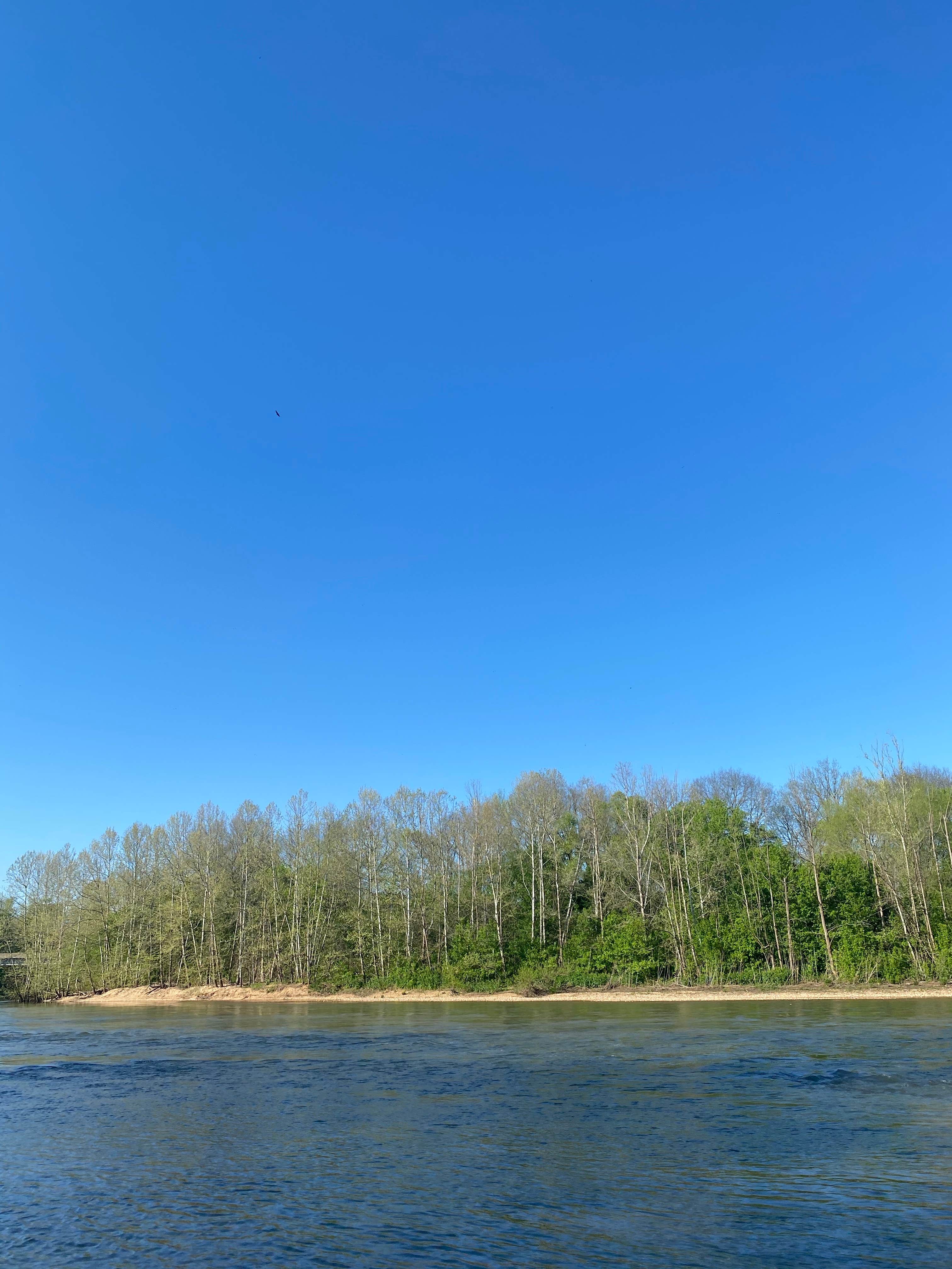 Camper-submitted photo at Hootentown Canoe Rental & Campground near Aurora, MO