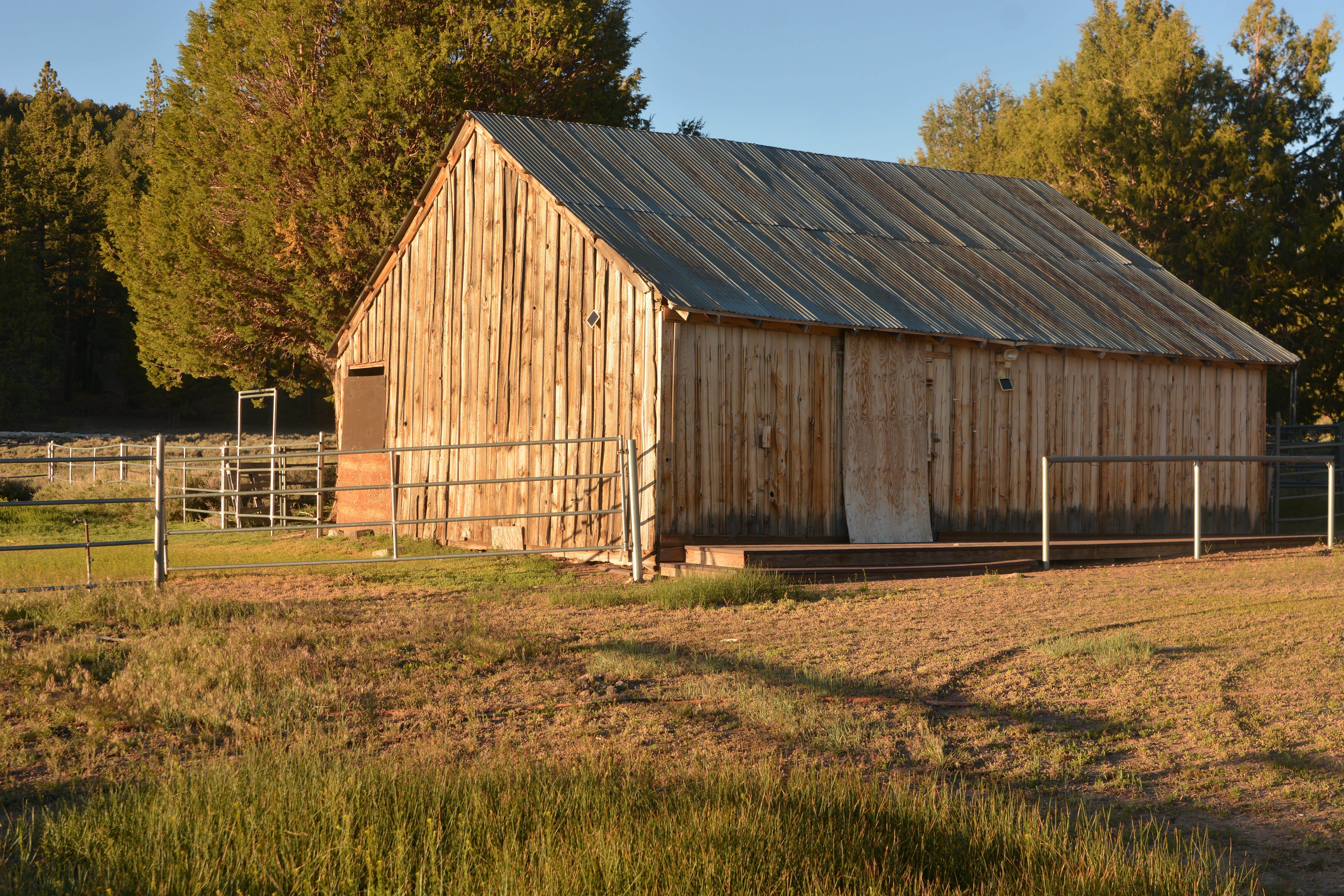 Camper submitted image from Holcomb Valley Ranch - 5