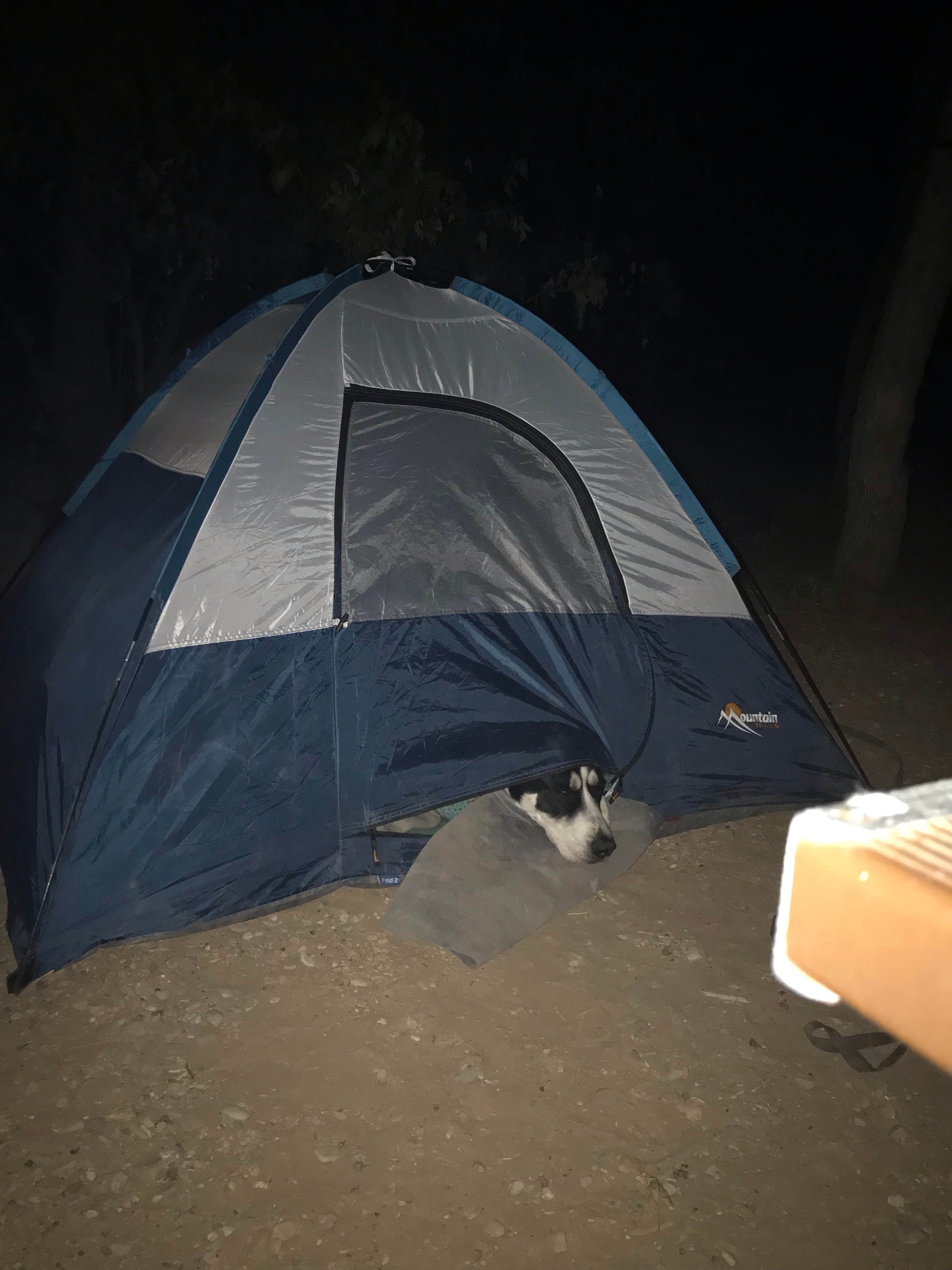 Emily M.'s photo of camping with pets at Zion Dump Station near Zion National Park